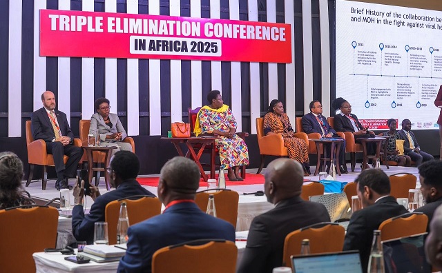 Delegates at the triple elimination conference